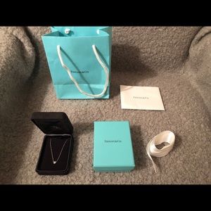 Tiffany & Co. Single Diamond Pendant in Platinum